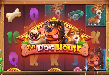 Microgaming - игровой автомат онлайн от Various с RTP 96.12%